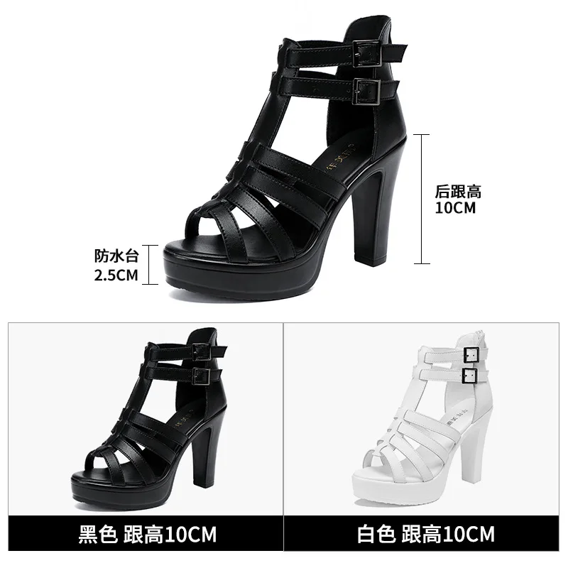 女性のためのグラディエーターハイヒールプラットフォームサンダ - Women'S Shoes Quality のレビューと価格